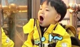 王力宏儿子爆料视频播放,揭秘家庭内幕